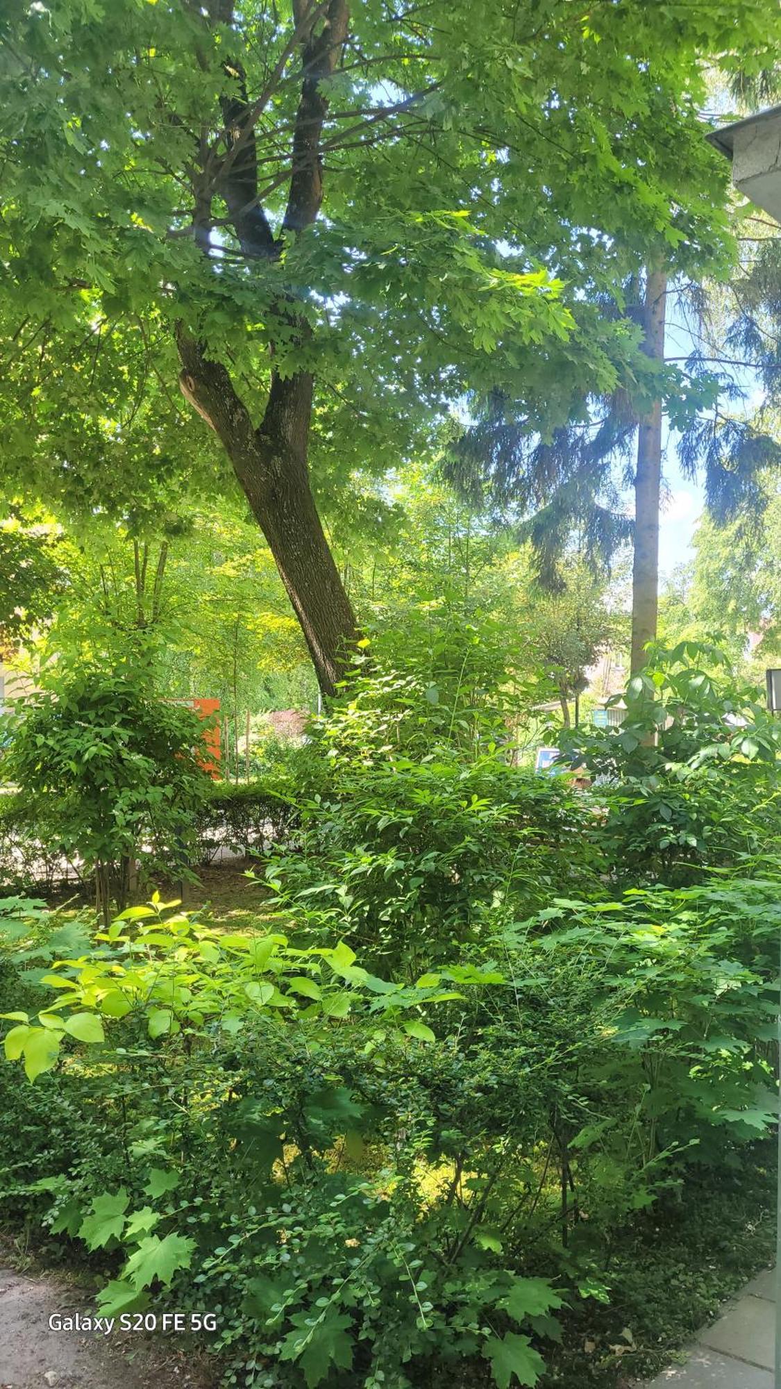 Apartament Przy Parku Nałęczów Buitenkant foto