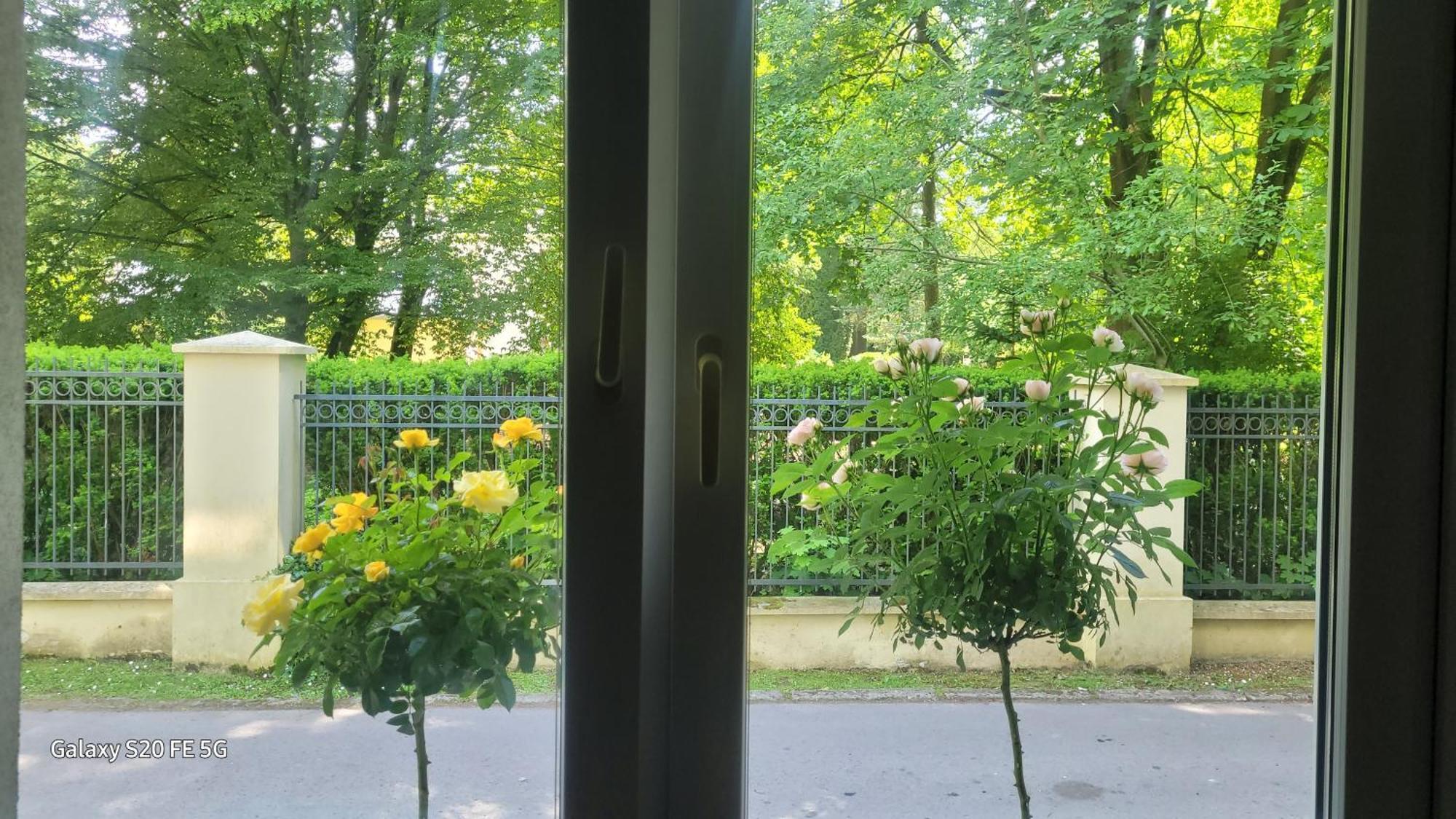 Apartament Przy Parku Nałęczów Buitenkant foto